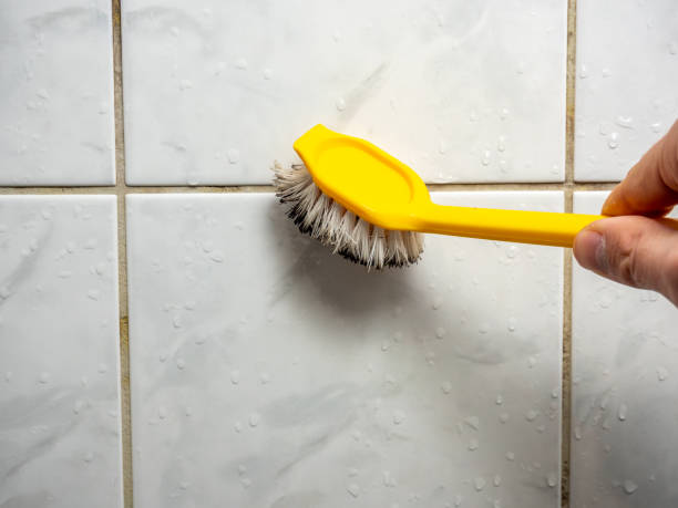 Best Preventive Mold Services in Lawndale, CA
